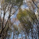 우면산7-2-2 | “아이와 가기 좋은 서울 도서관 추천, 우면산 방배숲환경도서관 (주차·위치·카페)”