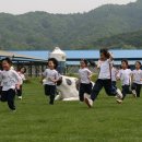 농촌목장 이미지