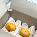 마켓더팜 네이버블로그