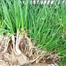 다래농원 이미지