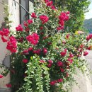 상촌시장 이미지