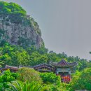 제주 산방산 암벽식물지대 이미지