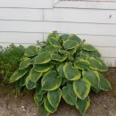 모악농장 이미지