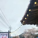 송선생의 초밥한점 | 남양주초밥 [ 우선생스시 ] 금남리 맛집