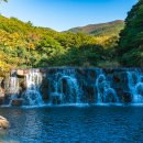 완도수목원 이미지