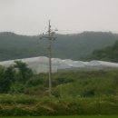 동이농장 이미지