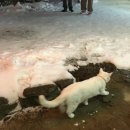 스튜디오오와오와 이미지