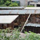 김씨농장 이미지