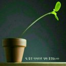 세상사는이야기 이미지