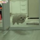 승현커텐 이미지