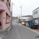 코스모스세탁소 티스토리