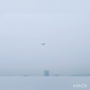 캠퍼스타운한의원 이미지