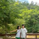 포안캠핑 이미지