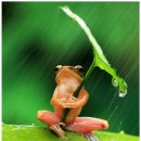 네오애드 이미지