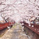 진해구 ⓒ-6 이미지