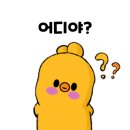 핏어펫 - 동구 충무로 255 | 핏어펫