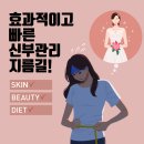 찐이네 이미지