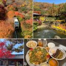 소통하는 나무 | 경기도 가을 당일치기 여행 코스 광주 곤지암 화담숲 11월 초 단풍 구경 후기 주막 먹거리 주차