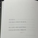 작은설렘