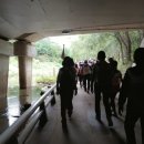 노인회관 건너편 횡단보도 이미지