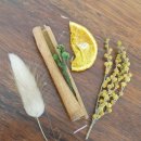 [02/21] 프리저브드 플라워 하바리움 - 원데이 클래스 | 중랑구꽃집 카멜리아365 플라워레슨에서 만든 하바리움 ♥