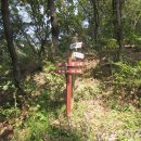 유왕골약수 이미지