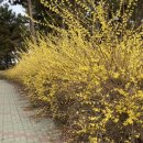 요촌1어린이공원 이미지