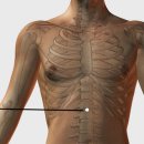 BODY POINT 이미지