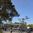 가로등제어 | 출사 | 10월 선유도공원 양화대교 당산철교 가을 출사 포토스팟 추천