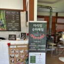 마리랑승마 | 연예인도 찾는 제주도 말타기 체험 마리랑승마