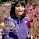 [추억의 가수] 82년 젊은 시절 김상희의 '코스모스 피어있는 길' 이미지