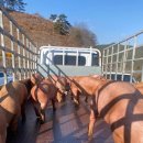 경상남도 축산연구소 이미지