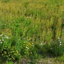 낙동강변7 이미지