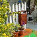 청옥조경야생화
