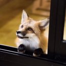 마리앤쥬 이미지