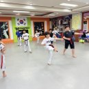 새화랑태권도장 이미지