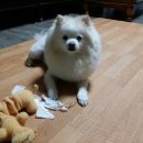봉구