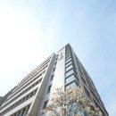 국제약품 이미지