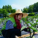 한마음유통 이미지