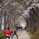 계양고등학교 주변 이미지