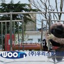 밀양초등학교 이미지
