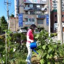 삼정할머니경로당 네이버블로그