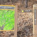 매봉길 | 모악산 매봉길~꽃길