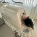 함스뷰티 | 부산 서면 다이어트 전신관리 더라인뷰티 바이오돔 솔직후기