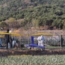 헬기하우스 이미지