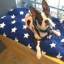 밴스동물병원 이미지