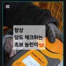 하윤이네 이미지