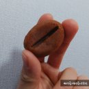 플랜 성서계대점 이미지