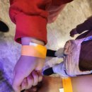 테이블에이 놀이터 | 아이랑 주말에 뭐하지? 인천 송도 실내동물원 데이트! [테이블에이 앤 로우켓] 다녀온 후기