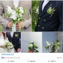 에이준 | 결혼 본식 스냅? 에이준포토그라피 예약후기!